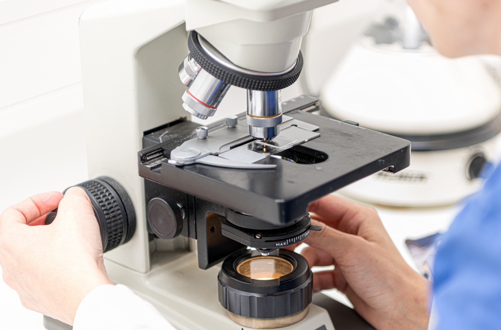 Laboratoire d'analyse vétérinaire à Tarbes